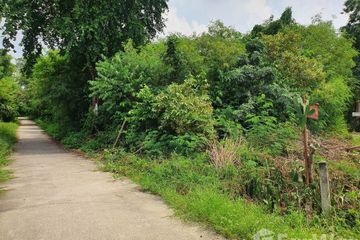 Land for sale in Sam Chuk, Suphan Buri