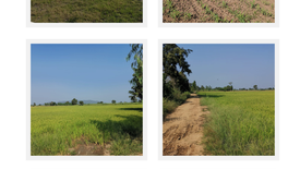 Land for sale in Ta Khit, Nakhon Sawan