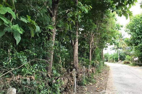 Land for sale in Sakae Sam, Buriram