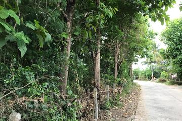 Land for sale in Sakae Sam, Buriram