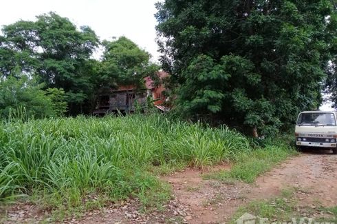 Land for sale in Nong Chabok, Nakhon Ratchasima