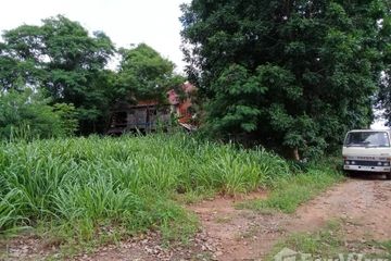 Land for sale in Nong Chabok, Nakhon Ratchasima