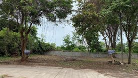 Land for sale in Sakae Sam, Buriram