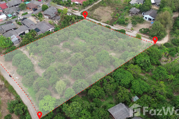 Land for sale in Thung Satok, Chiang Mai