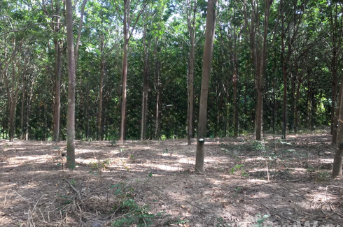 Land for sale in Nong Kathao, Phitsanulok