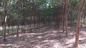 Land for sale in Nong Kathao, Phitsanulok