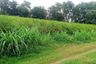 Land for sale in Pak Nam Pho, Nakhon Sawan