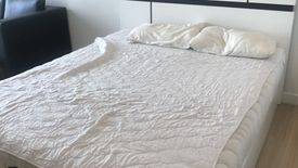 Condo for rent in The Seed Mingle, Thung Maha Mek, Bangkok near MRT Lumpini