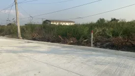 Land for sale in Lam Pla Thio, Bangkok