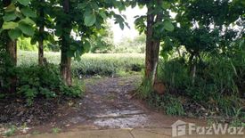 Land for sale in Pa Sang, Chiang Rai