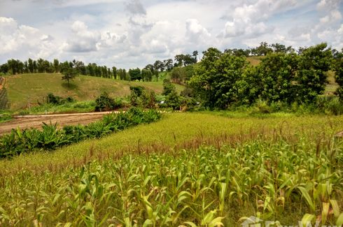 Land for sale in Pa Sang, Chiang Rai