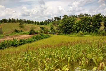 Land for sale in Pa Sang, Chiang Rai