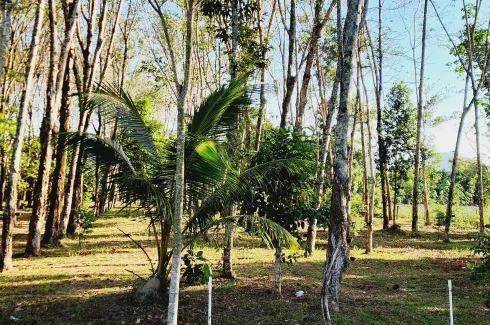 Land for sale in Si Sunthon, Phuket