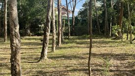 Land for sale in Si Sunthon, Phuket