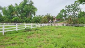 Land for sale in Huai Sai, Chiang Mai