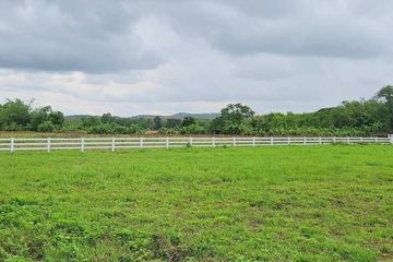 Land for sale in Huai Sai, Chiang Mai