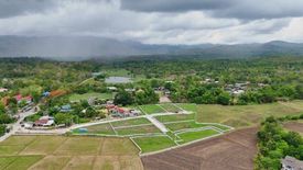 Land for sale in Huai Sai, Chiang Mai