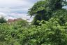 Land for sale in Sompong Village, Khlong Yong, Nakhon Pathom