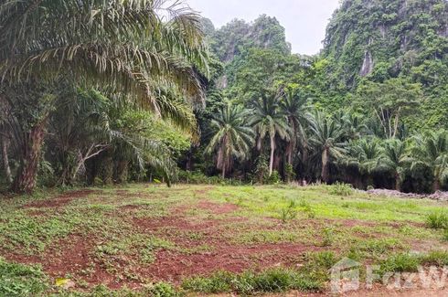 Land for sale in Ao Nang, Krabi