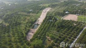 Land for sale in Tha Tum, Lamphun