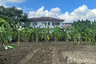Land for sale in Bang Talat, Nonthaburi near MRT Royal Irrigation Department