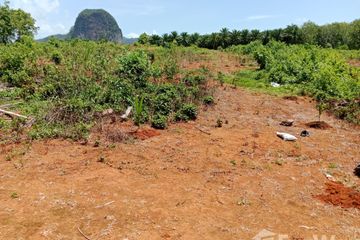 Land for sale in Nong Thale, Krabi