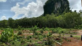 Land for sale in Nong Thale, Krabi