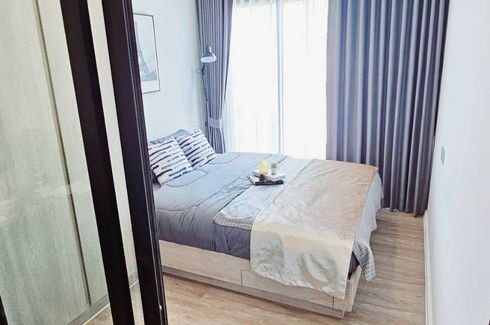 1 Bedroom Condo for rent in Modiz Sukhumvit 50, Phra Khanong, Bangkok near BTS On Nut