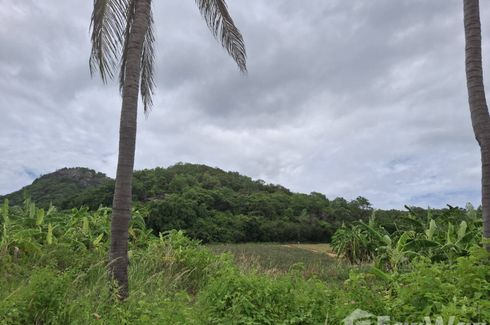 Land for sale in Wang Phong, Prachuap Khiri Khan