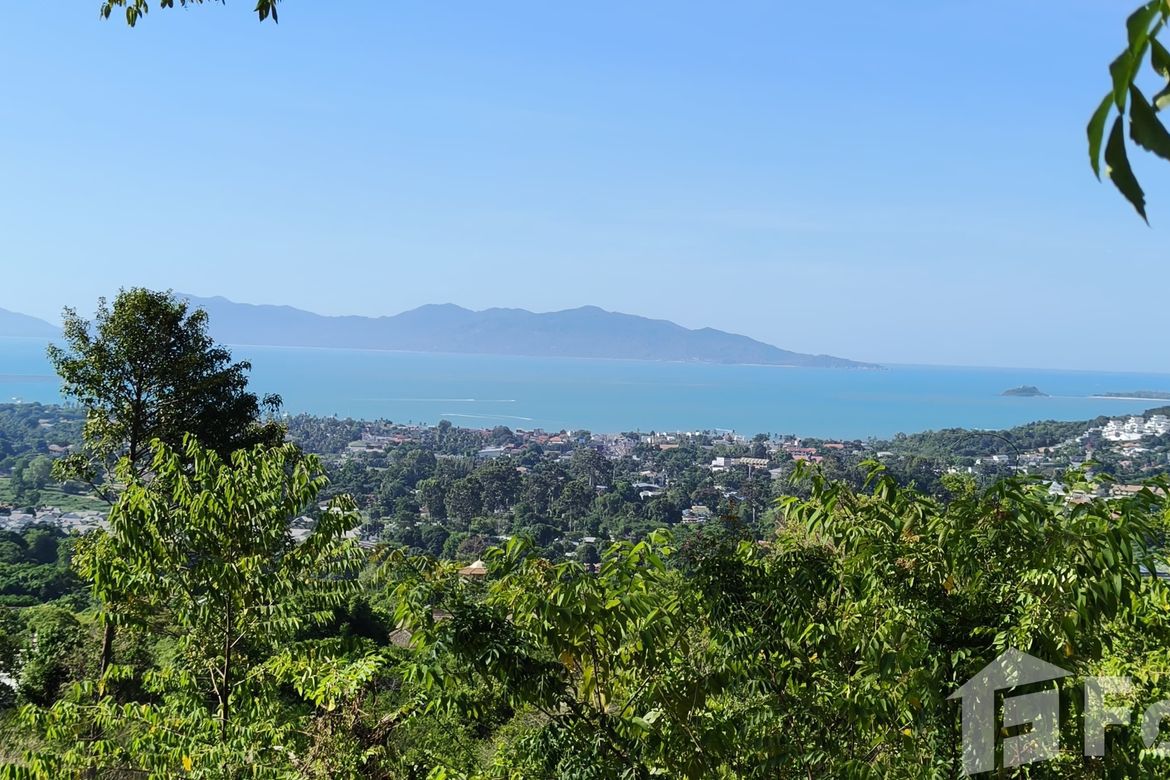 Land for sale in Bo Phut, Surat Thani 📌 Land for sale in Surat Thani