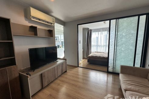 1 Bedroom Condo for rent in Centrio Condominium, Wichit, Phuket