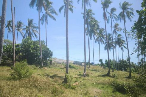 Land for sale in Mae Nam, Surat Thani