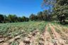 Land for sale in Huai Yai, Chonburi