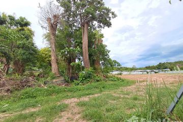 Land for sale in Bo Phut, Surat Thani