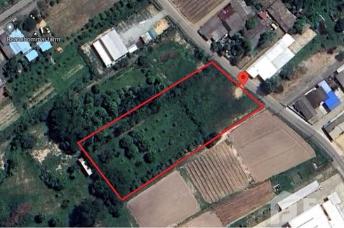 Land for sale in Nong Irun, Chonburi