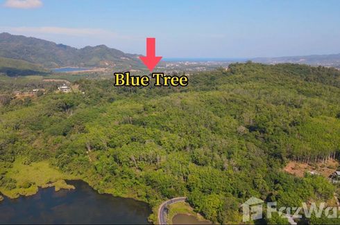 Land for sale in Si Sunthon, Phuket