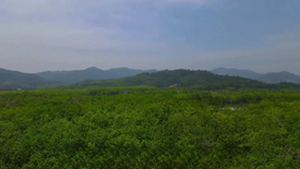 Land for sale in Si Sunthon, Phuket