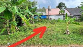 Land for sale in Khuan Lang, Songkhla