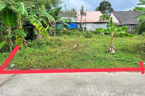 Land for sale in Khuan Lang, Songkhla