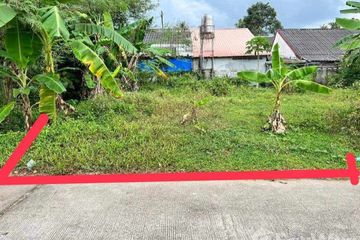 Land for sale in Khuan Lang, Songkhla