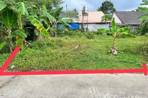 Land for sale in Khuan Lang, Songkhla
