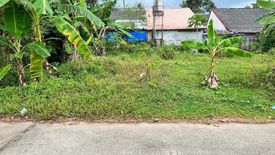 Land for sale in Khuan Lang, Songkhla