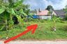 Land for sale in Khuan Lang, Songkhla