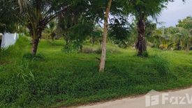 Land for sale in Si Sunthon, Phuket