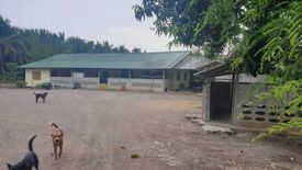 Land for sale in Ban Rai, Ratchaburi