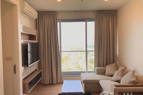 1 Bedroom Condo for rent in Rhythm Sukhumvit 50, Phra Khanong, Bangkok near BTS On Nut