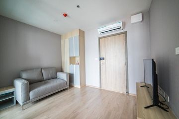 1 Bedroom Condo for rent in IDEO O2, Bang Na, Bangkok near BTS Bang Na