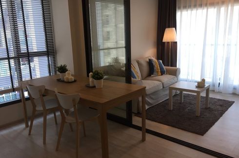 1 Bedroom Condo for rent in Life Sukhumvit 48, Phra Khanong, Bangkok near BTS Phra Khanong