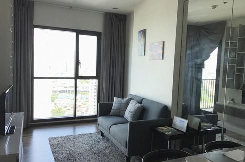 1 Bedroom Condo for rent in WYNE Sukhumvit, Phra Khanong, Bangkok near BTS Phra Khanong