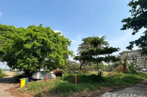 Land for sale in Bang Chak, Bangkok near BTS Punnawithi